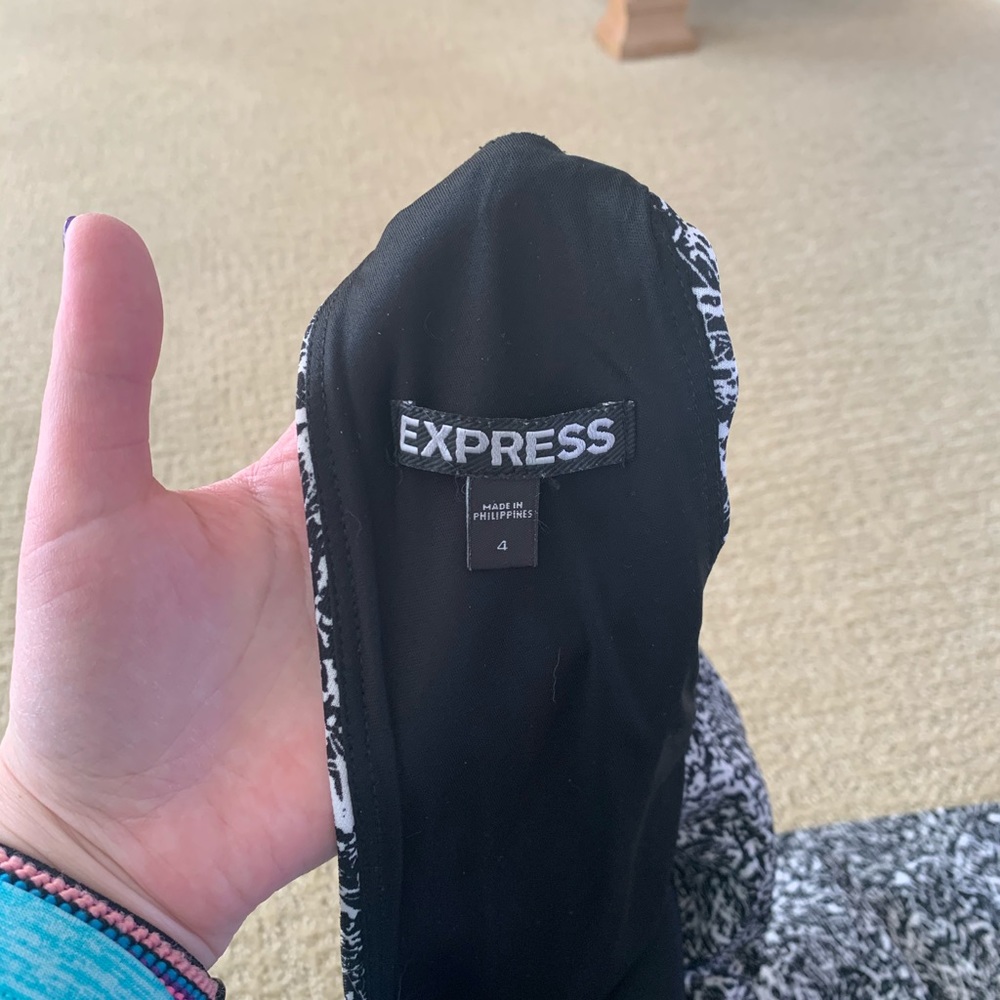 Express Dress - Picture 3 of 3